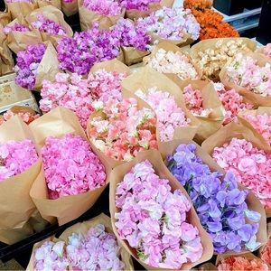 Meet your Posher, Valerie